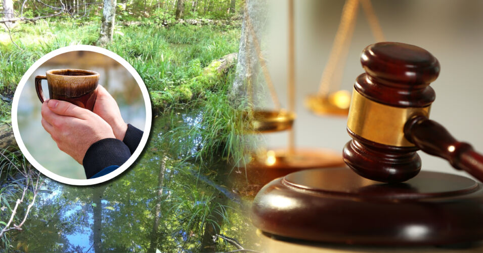 A circular photo of a pair of hands holding a coffee mug on top of two photos blended together: an ephemeral wetland with shallow water and lots of vegetation and a photo of a judges gavel with the scales of justice.