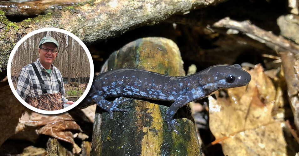 A photo of presenter greg burns and a photo of a salamander.