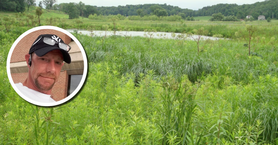 Wetland Coffee Break: Getting the most out of chemical control of wetland invasive plants with herbicide-additive systems