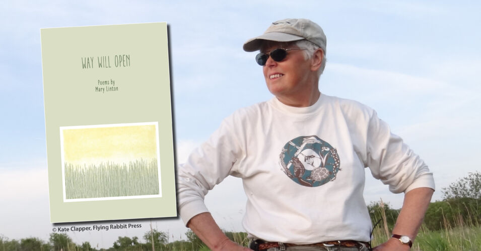 Wetland Coffee Break: Celebrating wetlands through poetry: The art and craft of Mary Linton