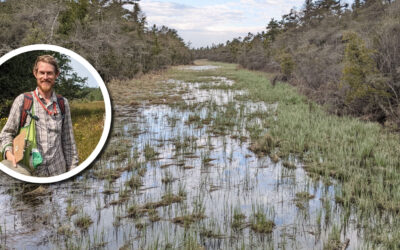 Wetland Coffee Break: Bryophyte floristic quality assessments of Wisconsin peatlands