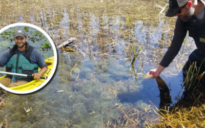 Wetland Coffee Break: Establishing a citizen science salamander and ephemeral pond monitoring program in Wisconsin