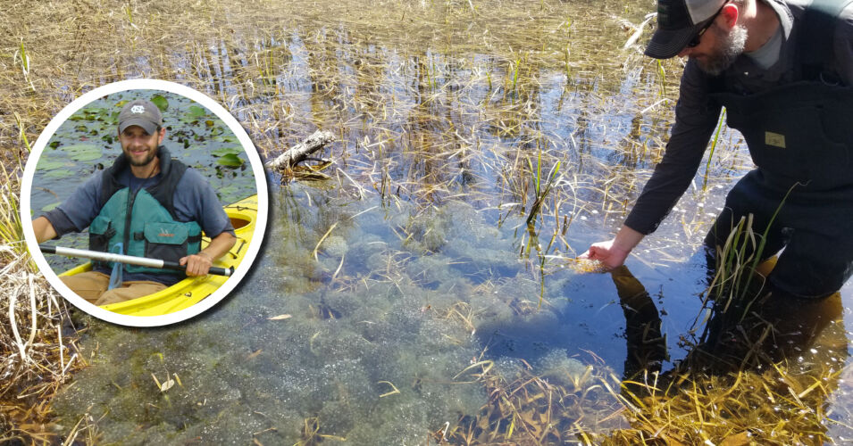 Wetland Coffee Break: Establishing a citizen science salamander and ephemeral pond monitoring program in Wisconsin