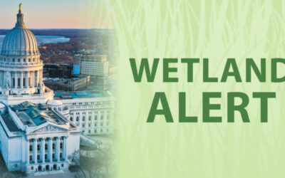 WWA Priority Legislation Creating a Pre-Disaster Flood Resilience Grant Up for a Vote!