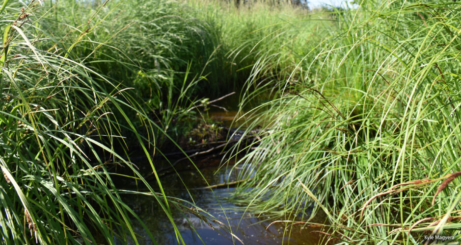 What are floodplains? Managing misconceptions about healthy flooding