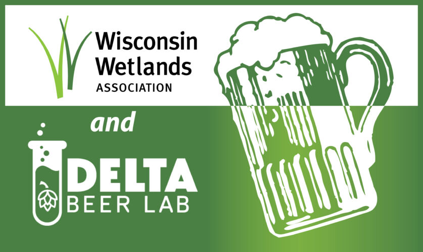 A vintage style drawing of a frothy pint of beer with the logos for both Wisconsin Wetlands Association and the Delta Beer Lab.