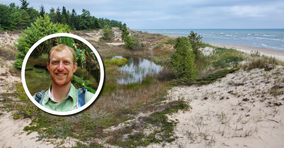 Wetland Coffee Break: Floristic quality benchmarks for rare and unique wetland plant communities