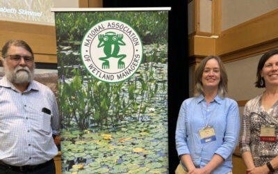 WWA on the road: Exporting lessons learned and learning from others