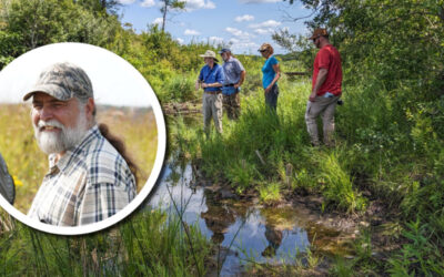 From the director: We work for wetlands