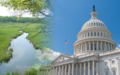 New federal legislation to enable floodplain restoration in FEMA mapped floodplains