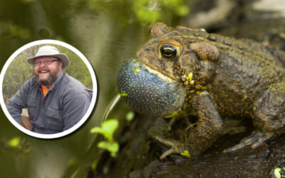 Wetland Coffee Break: Aquatic habitat management for amphibians and reptiles in Wisconsin