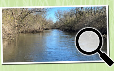 Spotlight: Dane County Pre-Disaster Flood Resilience Grant Implementation Project