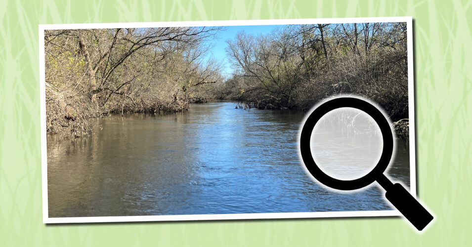 Spotlight: Dane County Pre-Disaster Flood Resilience Grant Implementation Project