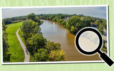 Un-filling a wetland: The East River Emilie Park wetland restoration in Green Bay