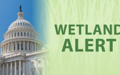 Breaking: Federal legislation introduced to address barriers to floodplain restoration