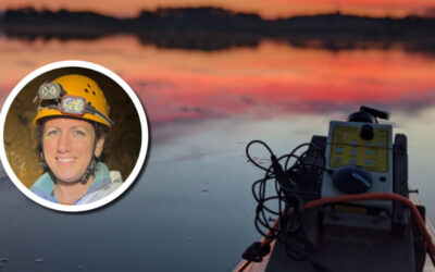 Wetland Coffee Break: Dark waters, silent wings: Secrets Wisconsin bats keep