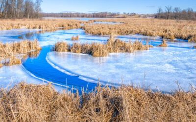 WOTUS rule update: Our submitted comments