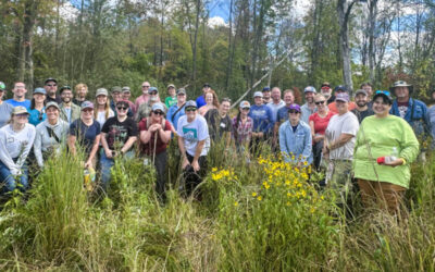 Agency Collaboration Profile: Wisconsin Department of Natural Resources