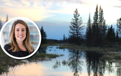 Wetland Coffee Break: Wisconsin’s peatlands: Carbon powerhouses for climate action