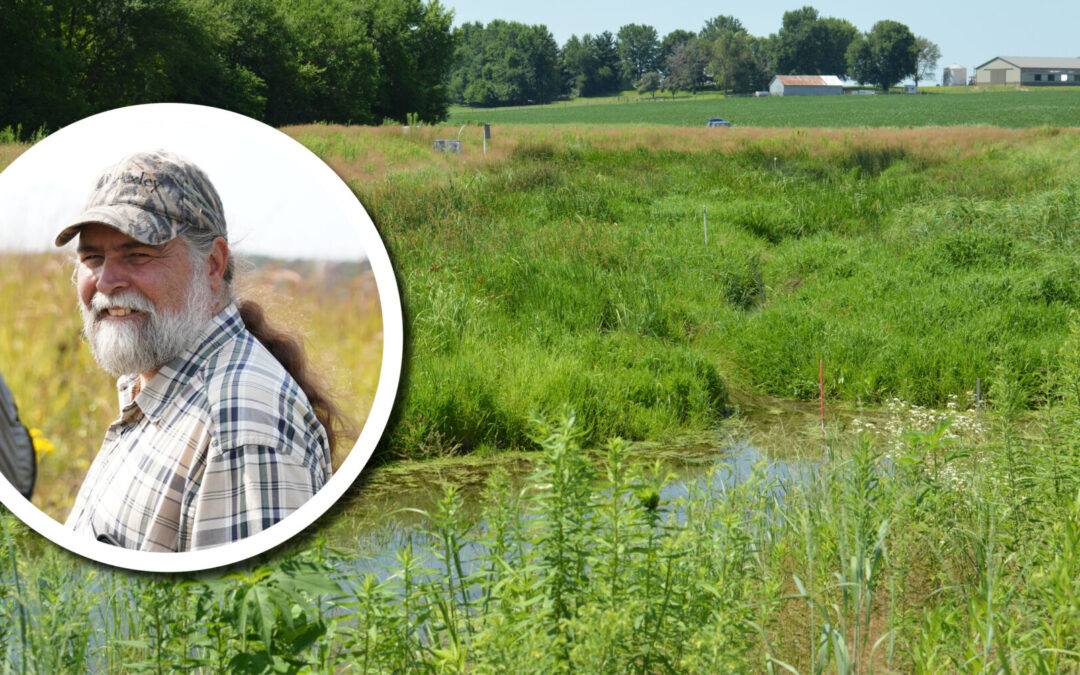 From the Director: Bringing wetlands into the picture