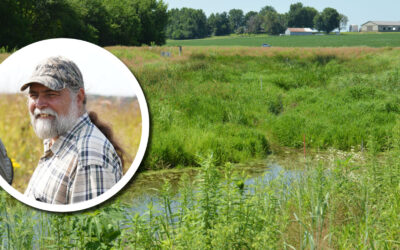 From the Director: Bringing wetlands into the picture