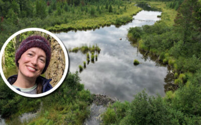 Wetland Coffee Break: Exploring the eco-cultural relationships of beaver and wild rice: hydrological and cultural perspectives
