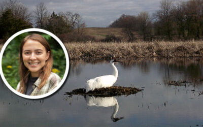 Wetland Coffee Break: Nest site selection for Whooping Cranes in Wisconsin wetlands