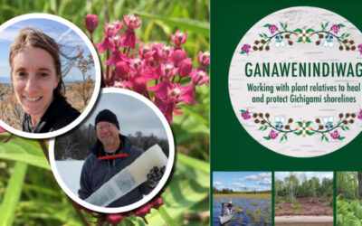 Wetland Coffee Break: Ganawenindiwag: Working with plant relatives to heal and protect Gichigami shorelines