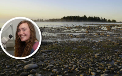 Wetland Coffee Break: Impact of Great Lakes coastal wetland restoration on seasonal bird assemblages