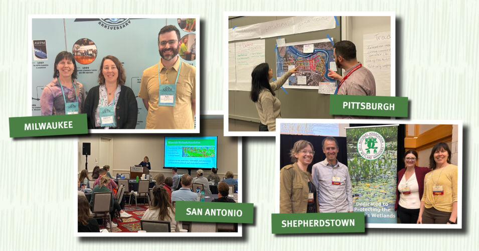 Conferences header