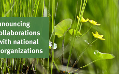 National attention creates new opportunities for Wisconsin Wetlands Association’s Policy Programs work