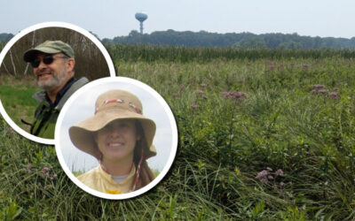 Wetland Coffee Break: Tackling aquatic invasive species with surveys, drones, and soil cores in the Pheasant Branch Conservancy