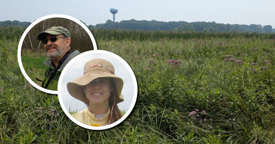 Wetland Coffee Break: Tackling aquatic invasive species with surveys, drones, and soil cores in the Pheasant Branch Conservancy