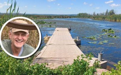 Wetland Coffee Break: Native wetland plant restoration pilot project: Fish Creek Slough Estuary in Ashland, Wisconsin