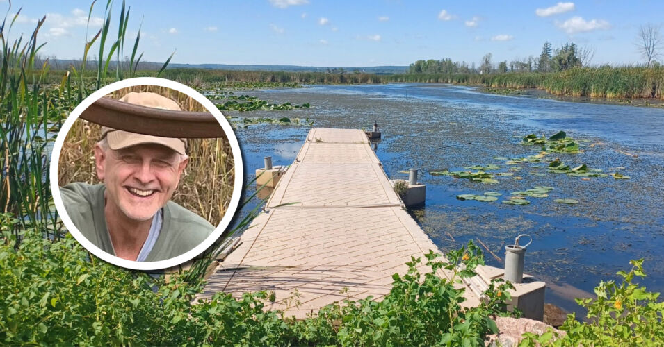 Wetland Coffee Break: Native wetland plant restoration pilot project: Fish Creek Slough Estuary in Ashland, Wisconsin