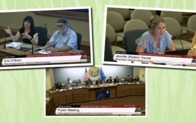 Legislative Committee begins examining barriers to floodplain restoration