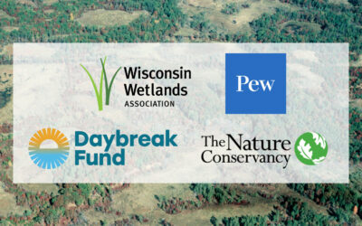 WWA launches new project focused on peatlands conservation