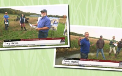 Study Committee on Floodplain Restoration second meeting recap